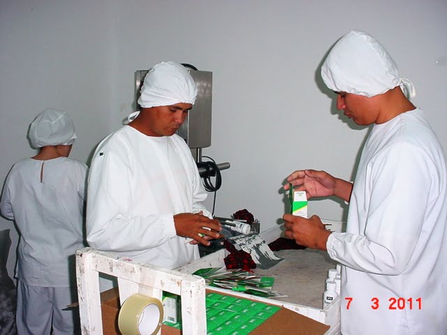 Mucho cuidado y delicadeza en esta labor de finalmente meter el prodcuto en sus empaques finales, listos para el Mercado de farmacos en Nicaragua y CA